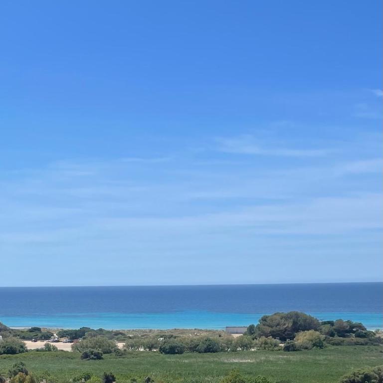 2 Bedroom Apartment , Son Bou - Apartamento de 2 dormitorios - 36