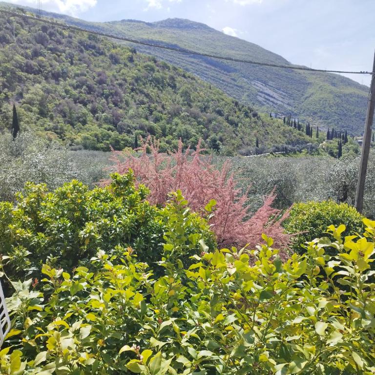 Casa di Nin - Appartement avec Balcon - 29
