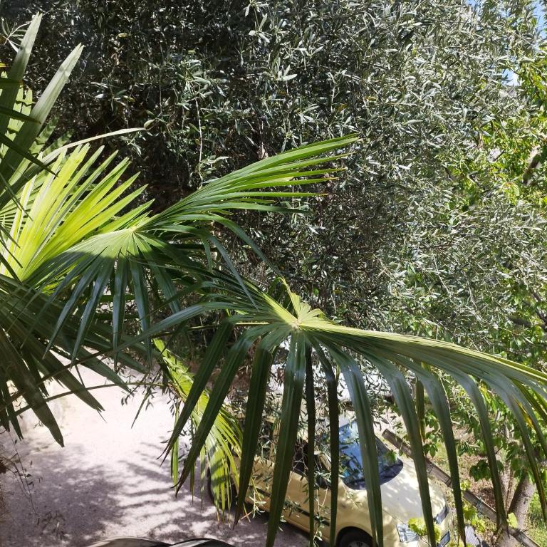 Casa di Nin - Appartement avec Balcon - 34