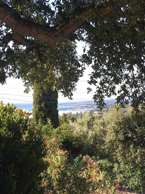 Villa climatisée, vue mer et colline avec piscine - Villa - 7