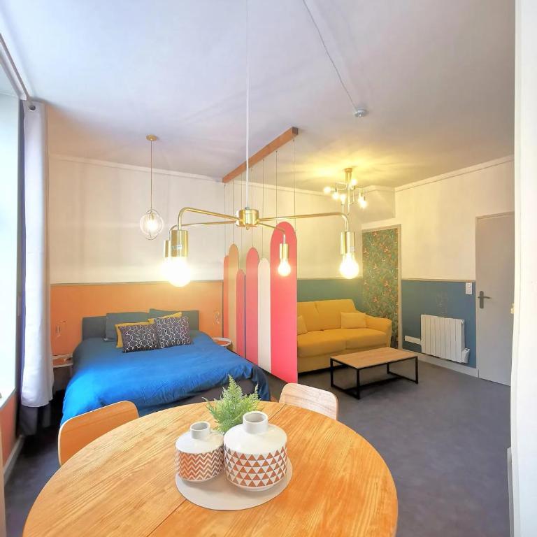 Le Costa Rica - Grand appartement centre ville - One-Bedroom Apartment - 8