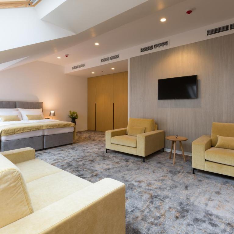 Boutique Hotel Museum - Apartman tipa "Suite" - 4