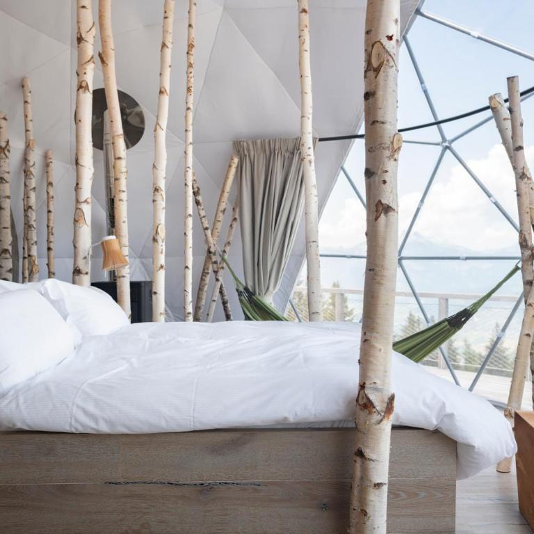 Whitepod Original - Suite Forest Pod - 4