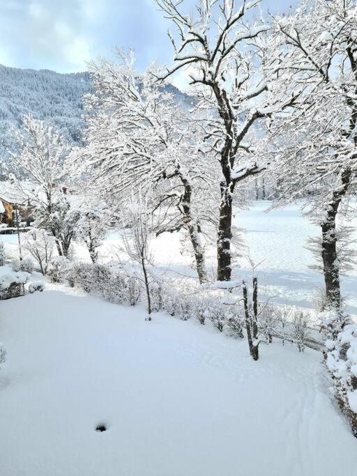 Appartement Le D12 Samoëns - Apartamento de 3 dormitorios - 20