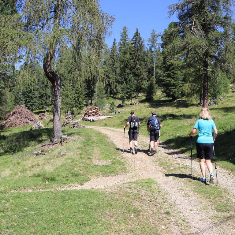 Almzauber Chalets - Haus Enzian inkl Infrarotliegen - Chalet 3 - 11