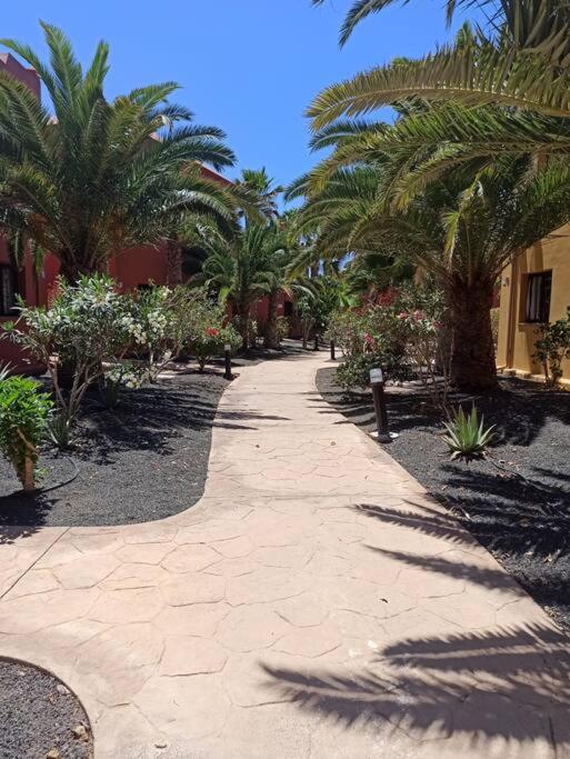 Apartment Cumbre Vieja Fuerteventura - Apartamento de 1 dormitorio - 12