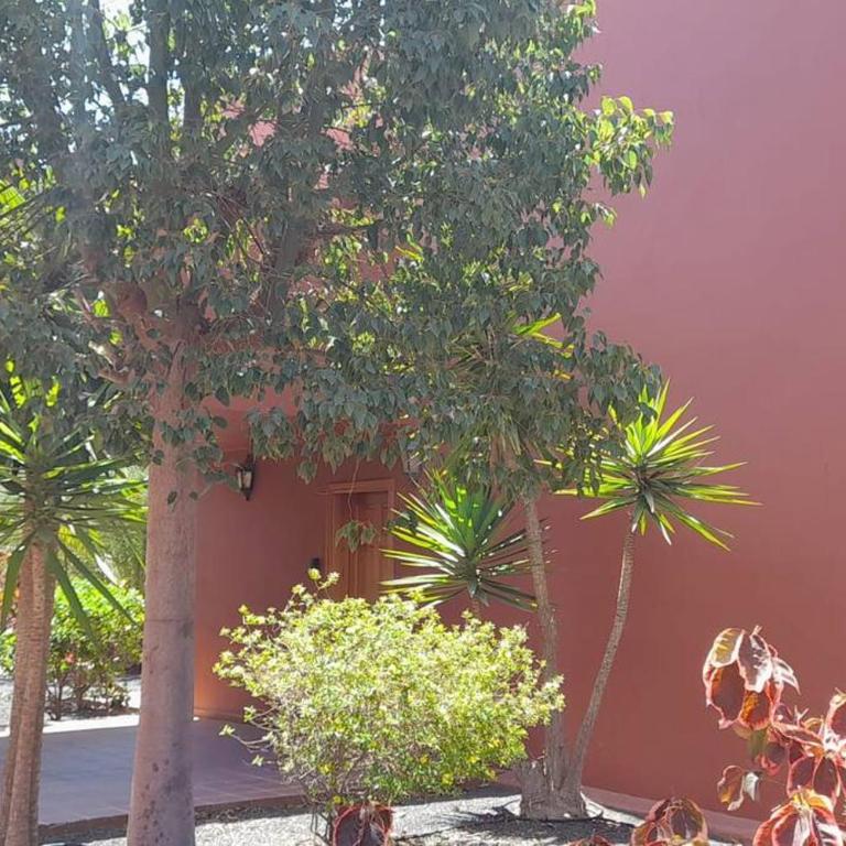 Apartment Cumbre Vieja Fuerteventura - Apartamento de 1 dormitorio - 19