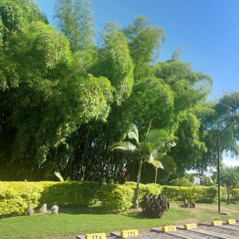 Descanso y Confort 3 Luxury - Three-Bedroom Apartment - 28