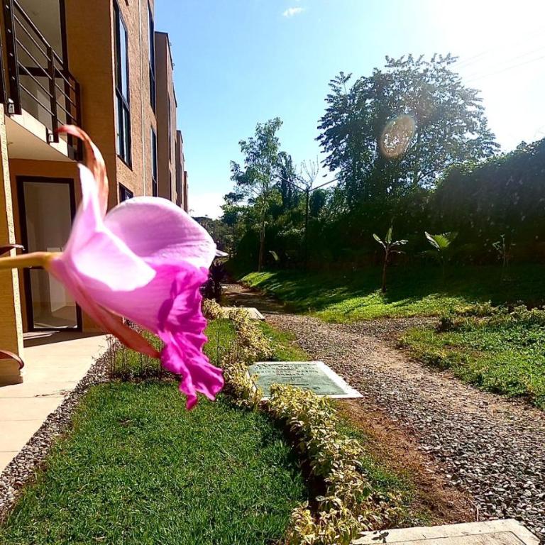 Descanso y Confort 3 Luxury - Three-Bedroom Apartment - 32