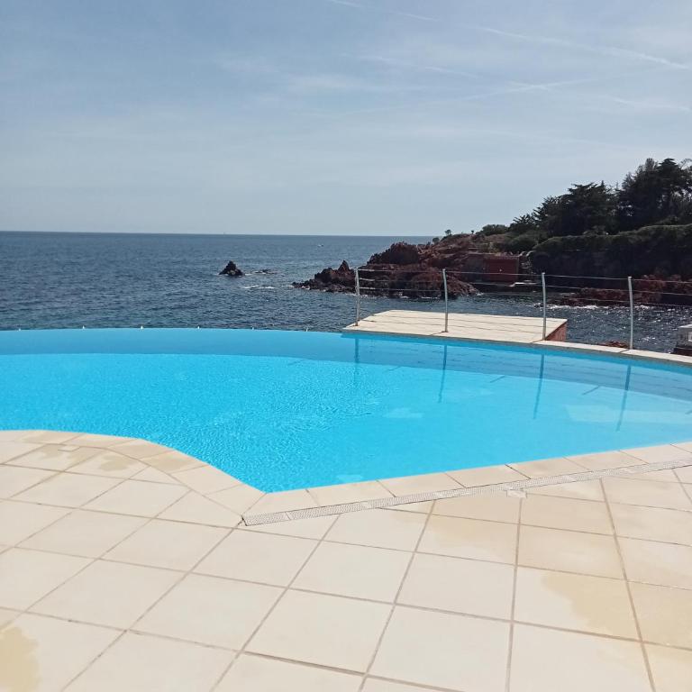 Studio calme vue mer pieds dans l'eau - Appartamento con 1 Camera da Letto - 8