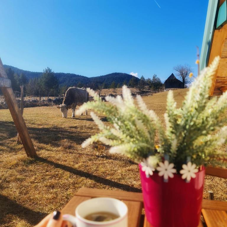 Gorska Vila - Two-Bedroom House - 21