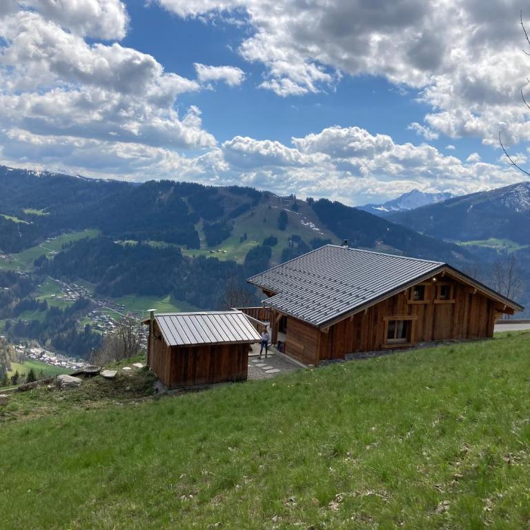 Chalet avec jacuzzi - 150 m des remontées - Chalet - 2