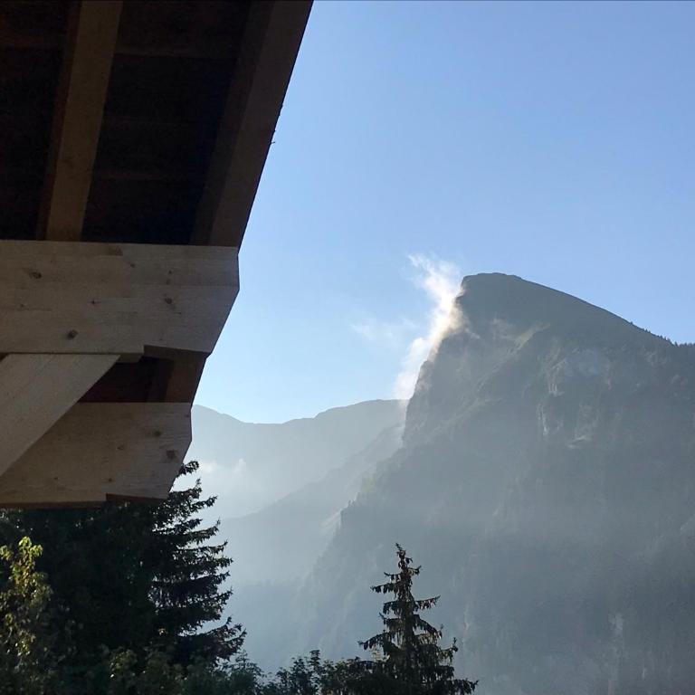 Chalet avec jacuzzi - 150 m des remontées - Chalet - 32