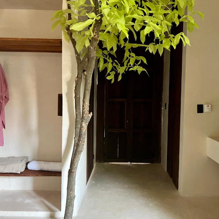 Japoneza Retreat Mérida - Adults Only by Cercana - Suite - 15