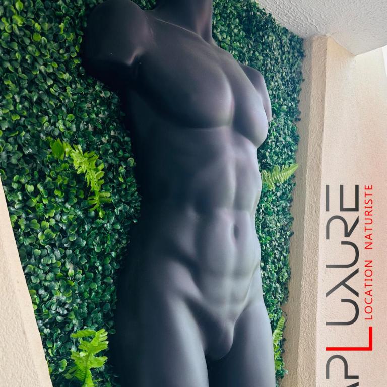 CAPLUXURE - Port nature 8 - village naturiste Cap d Agde - One-Bedroom Apartment - 12