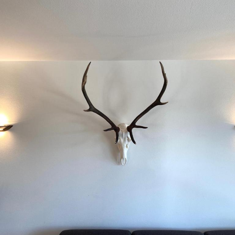 Edelweiss - fewo-badhindelang - Apartment mit 2 Schlafzimmern - 11