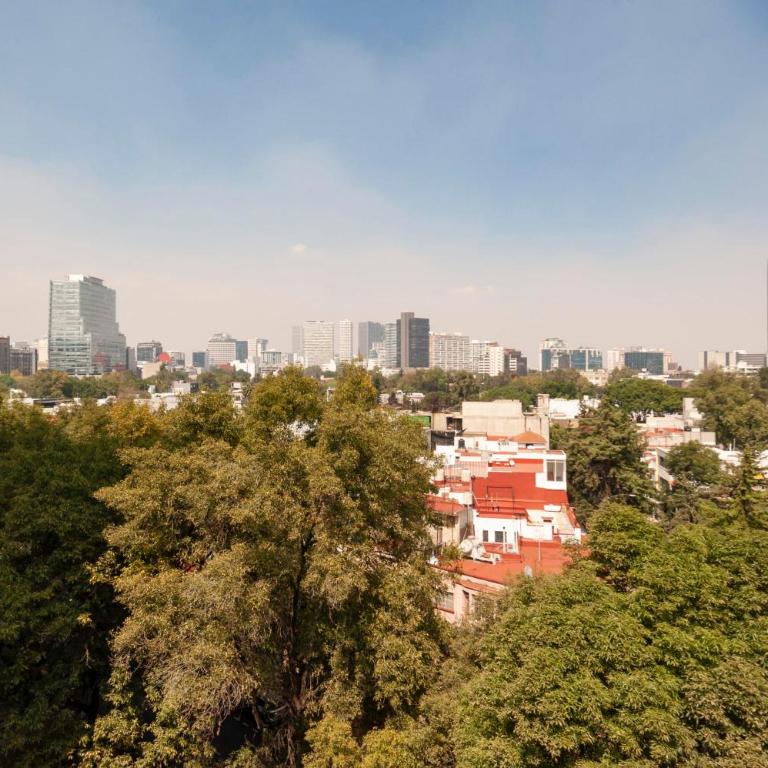 Darwin 74 by Wynwood House - Refined Loft w/ Terrace near Polanco - 4