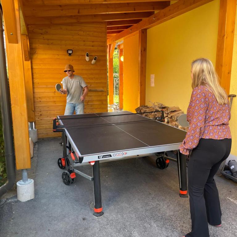 Dreiländerblick, Sauna en tafeltennis en 150 meter van piste - Ferienhaus - 5