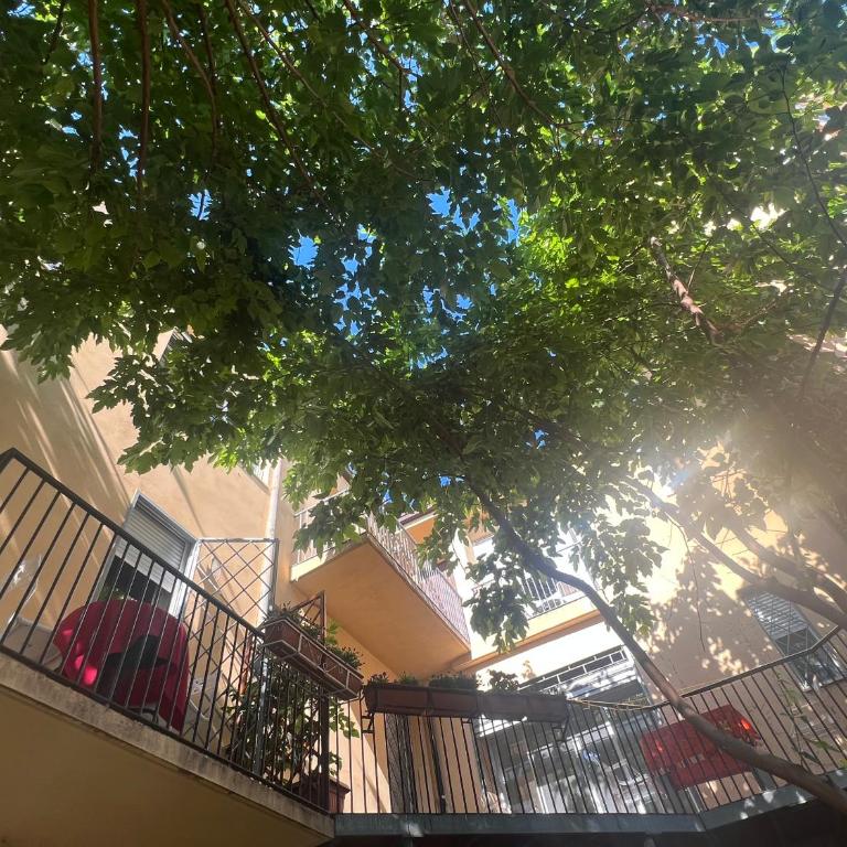 Casa Roma rooms& apartmens - Appartamento con 2 Camere da Letto - 4