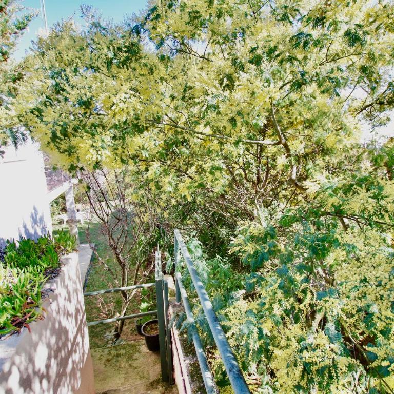 V&V LLORET- Apartamento Europa - Apartamento de 2 dormitorios - 64