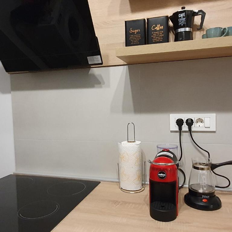 Apartman Pontica - Apartman sa 1 Spavaćom Sobom - 42