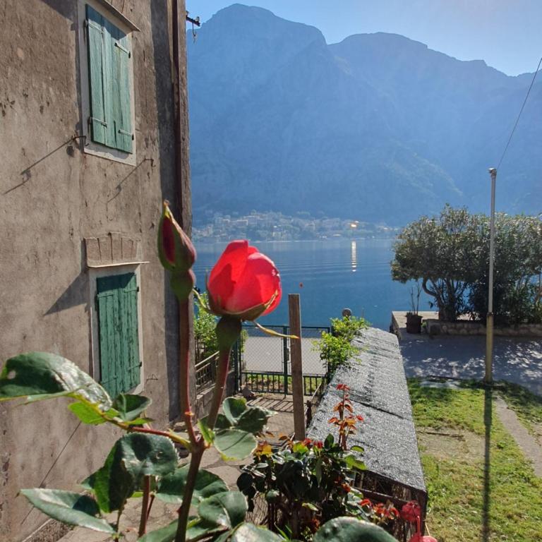 Apartman Pontica - Apartman sa 1 Spavaćom Sobom - 61