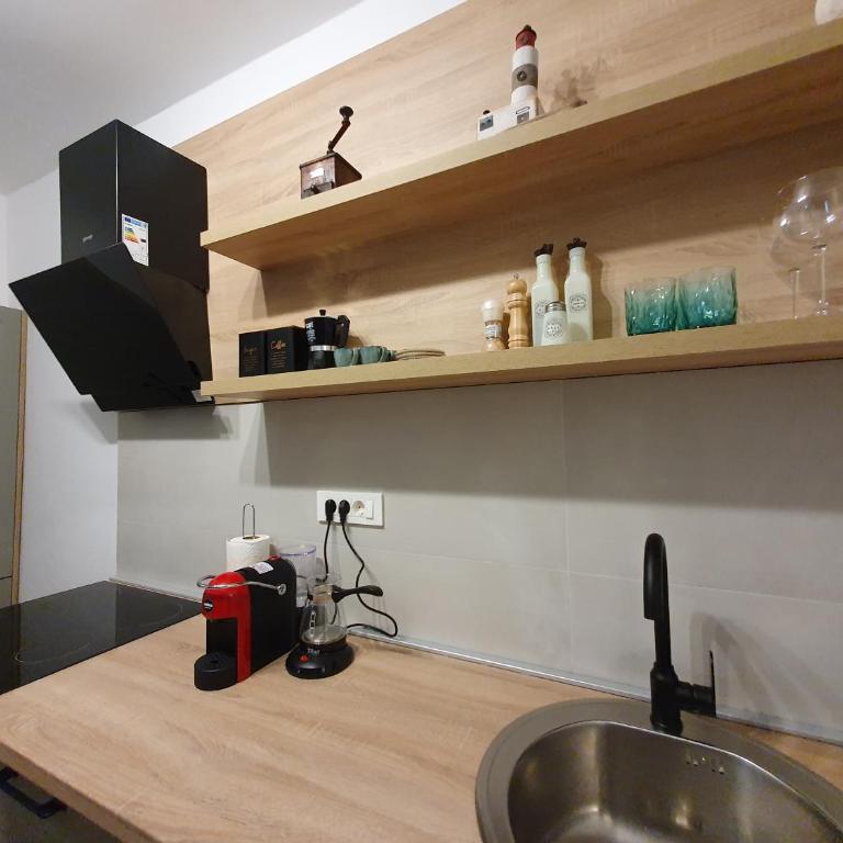 Apartman Pontica - Apartman sa 1 Spavaćom Sobom - 40