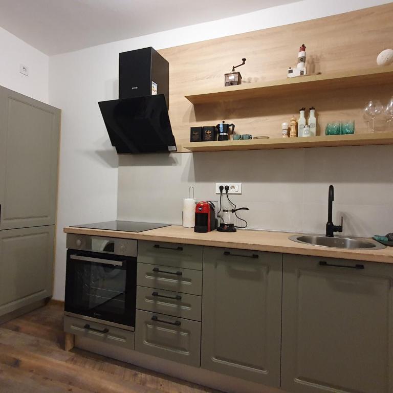 Apartman Pontica - Apartman sa 1 Spavaćom Sobom - 41