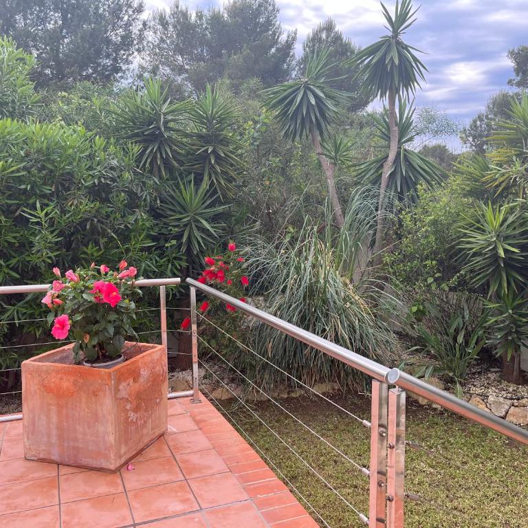 Villa Clara, 8 pers, JAVEA, Costa Blanca, closes to beaches - Villa - 6