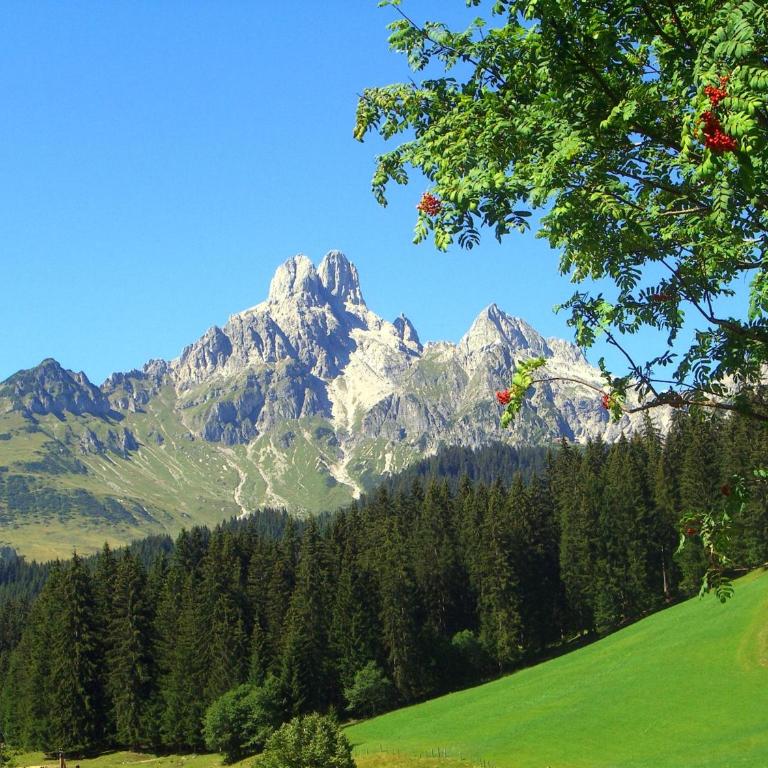 Ferienwohnung Mützengruß - Apartamento de 2 dormitorios (4 adultos) - 31