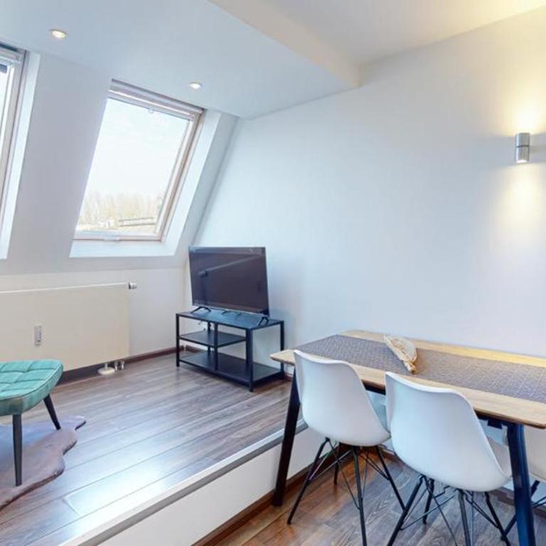 Spacious 4 Bedroom Apartment near City Center - Apartment - 3