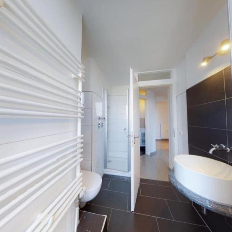Spacious 4 Bedroom Apartment near City Center - Apartment - 18