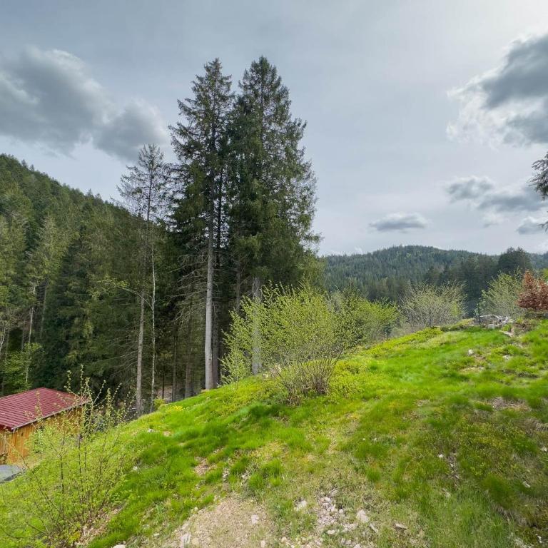Le Refuge perché du saut de la bourrique, SPA, terrain clôturé, bordure de forêt - Chalet 2 Chambres - 21