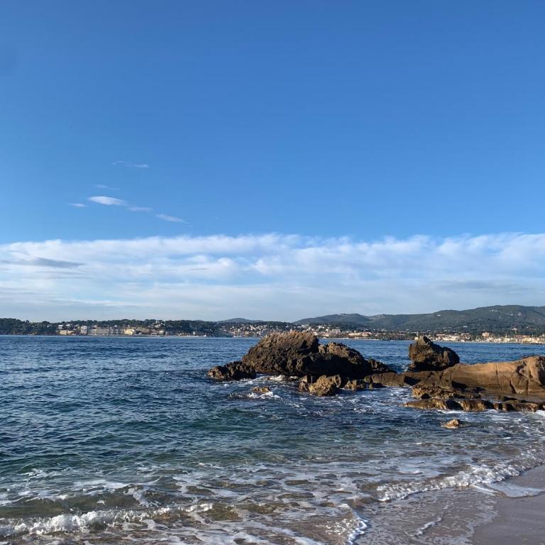 l'appart de la mer Sanary, confort absolu, tout à pied, port, plage, clim et garage privé - Apartamento de 1 dormitorio - 33