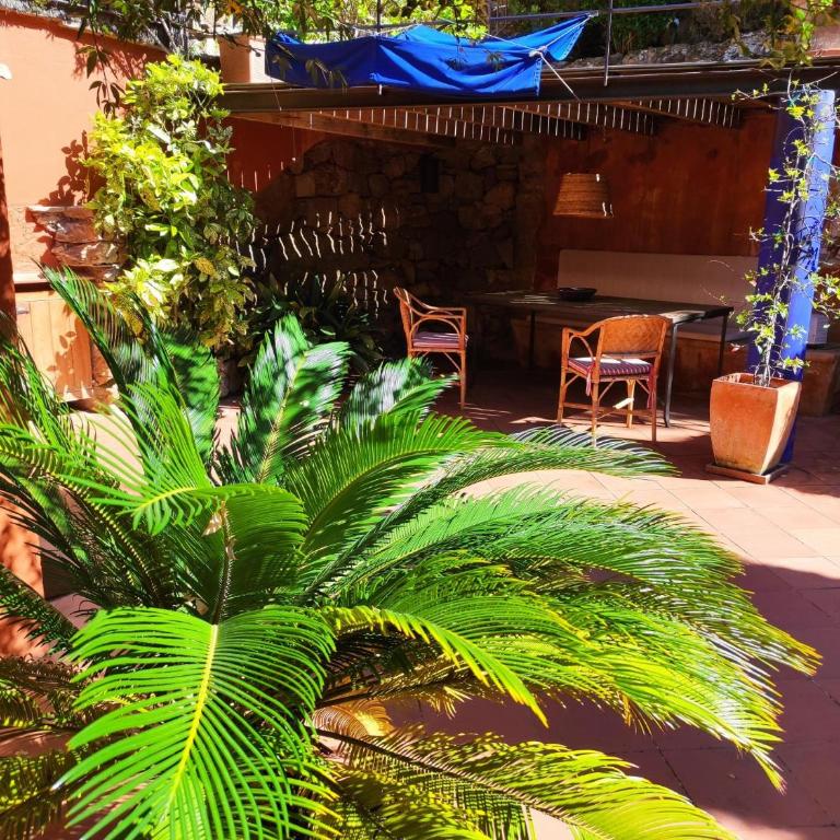 Cardina - Apartamento - 5