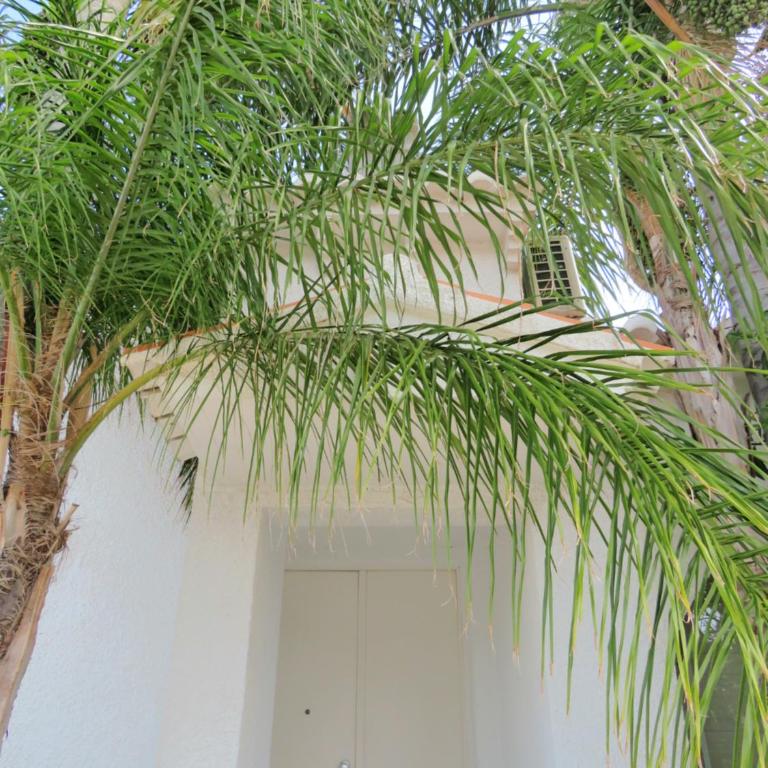 Casa Azahar y Casa Buganvilla - Casa de 3 dormitorios - 62