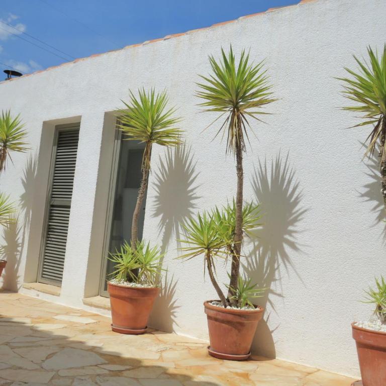Casa Azahar y Casa Buganvilla - Casa de 3 dormitorios - 37