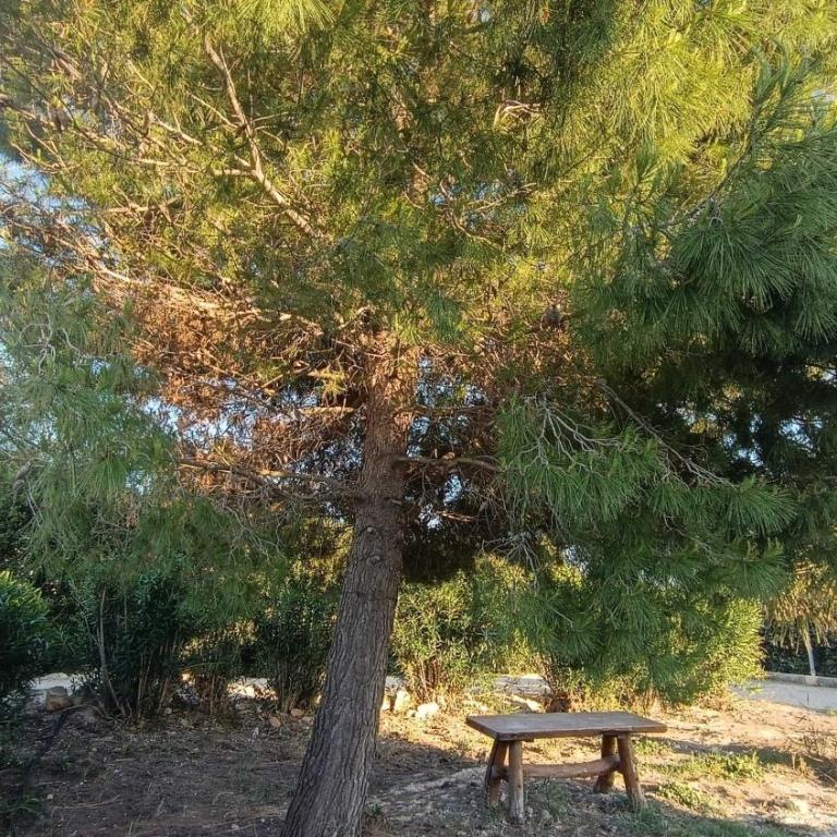 Ca' Sale Holiday Home - Villa - 15