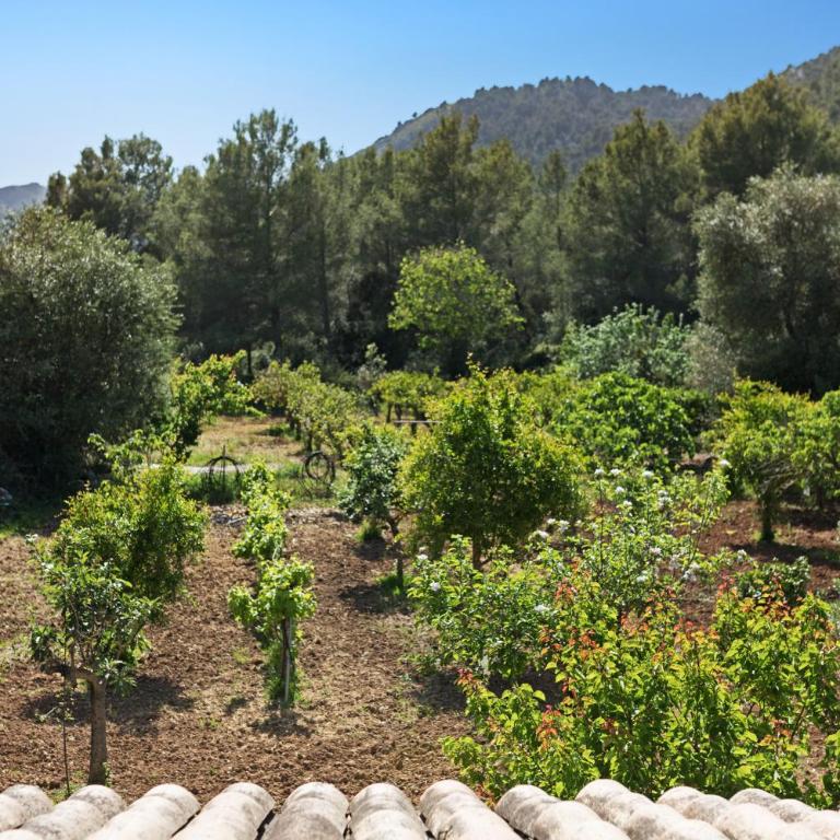 Villa Torres Pollensa - BY EMERALD STAY - Villa de 3 dormitorios - 18