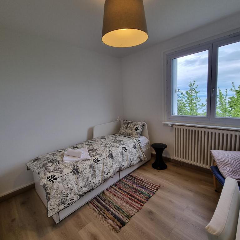 Vue Lac, Central et Contemporain - Appartamento con 2 Camere da Letto - 13