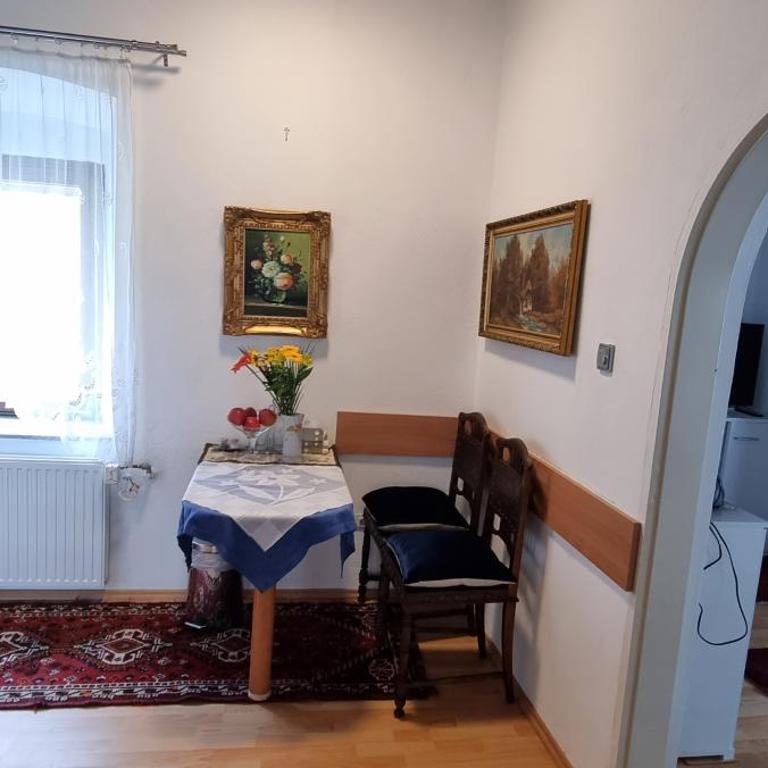Innenstadtgarten-Wohnung - Apartment mit 1 Schlafzimmer - 8