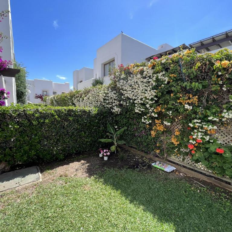Estepona - Playa - 2 dormitorios y terrazas con jardines al lado del mar Pa25 - Two-Bedroom Apartment - 12