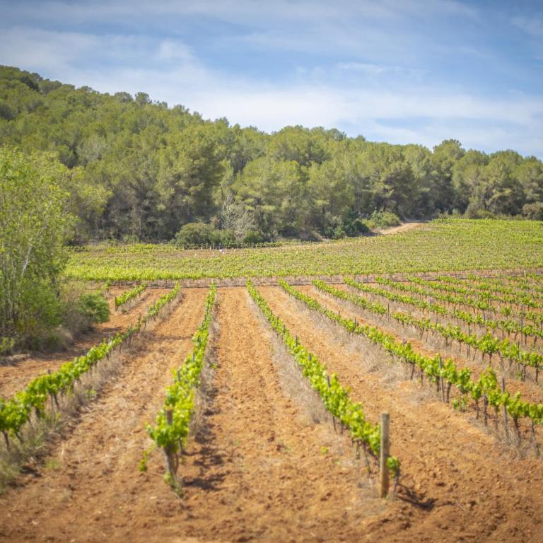 Catalunya Casas Tranquil nature 'feel' , yet only 4 min to beach! - Villa con piscina privada - 26