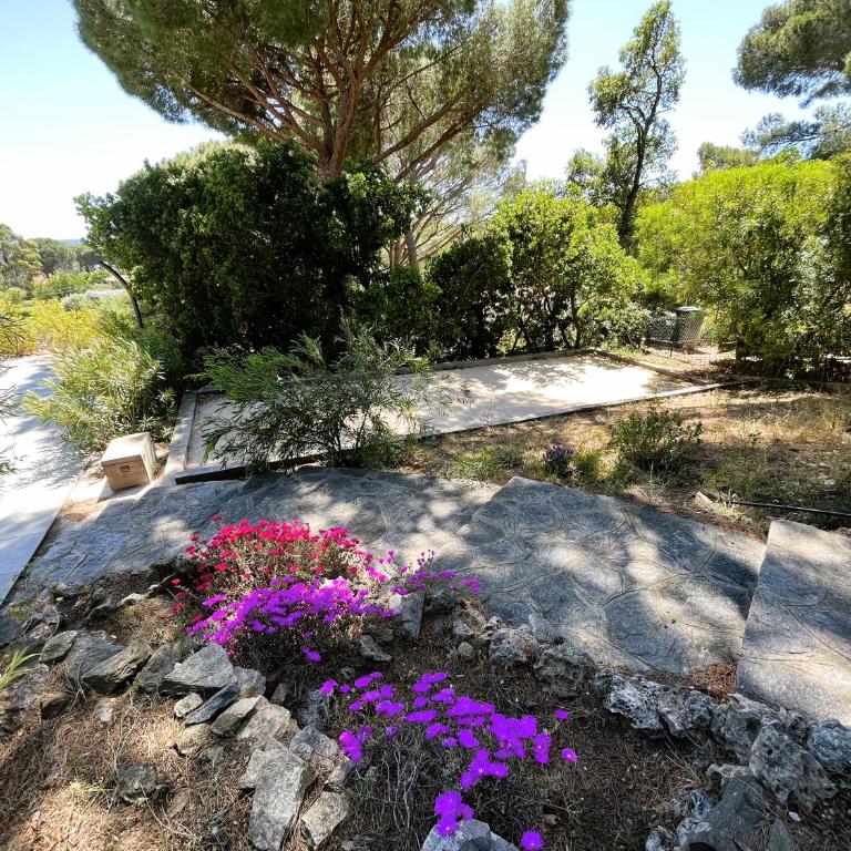 Villa 6 Chambres, Piscine, vue Mer, à Proximité de la Plage , Cavalaire-sur-mer - Villa - 12
