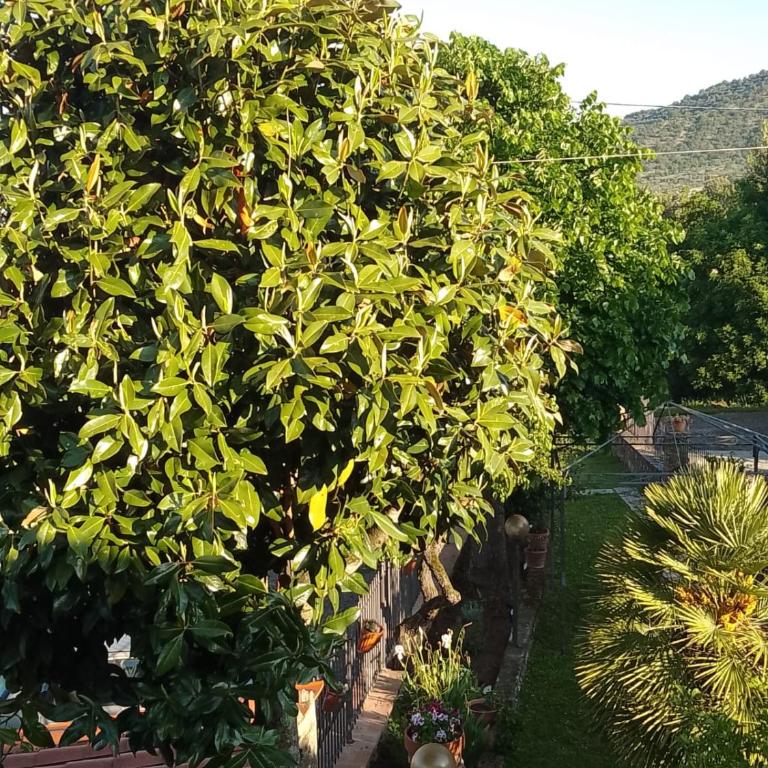 MAGNOLIA - Appartamento con 2 Camere da Letto - 21