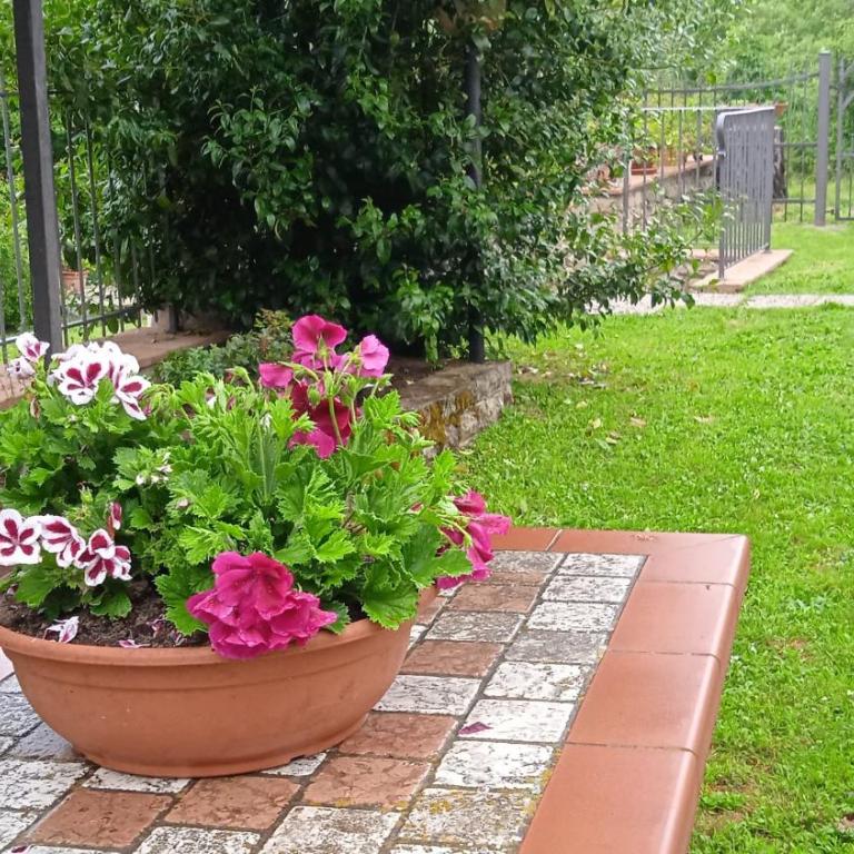 MAGNOLIA - Appartamento con 2 Camere da Letto - 5