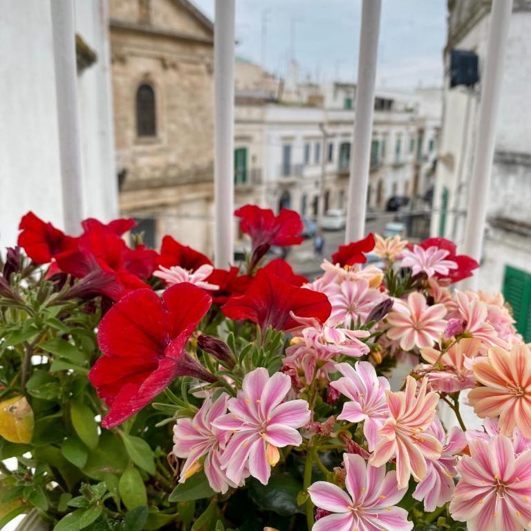 Casa Melina! Historic house in Locorotondo - Two-Bedroom House - 29