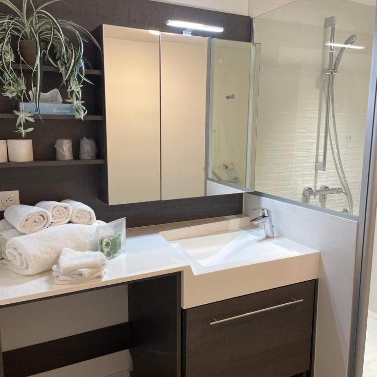 DOMITYS LES TOURMALINES - Appartement 1 Chambre - 6