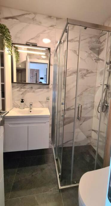 Golden Horizont Apartman - Apartman sa 1 Spavaćom Sobom - 11