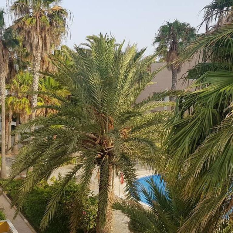 APT. ENTREMARES 1ª LINEA, WIFI, SMART TV - One-Bedroom Apartment - 20